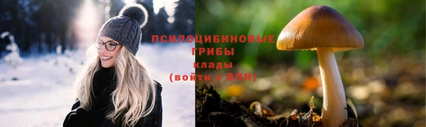 скорость Богданович