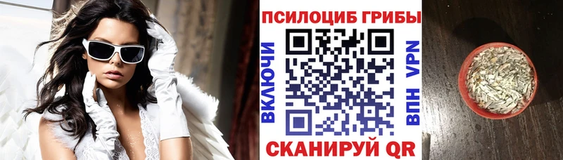 Галлюциногенные грибы Psilocybine cubensis  Бирск 